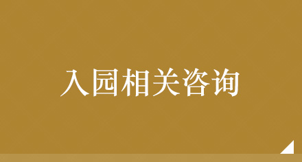 入园相关咨询